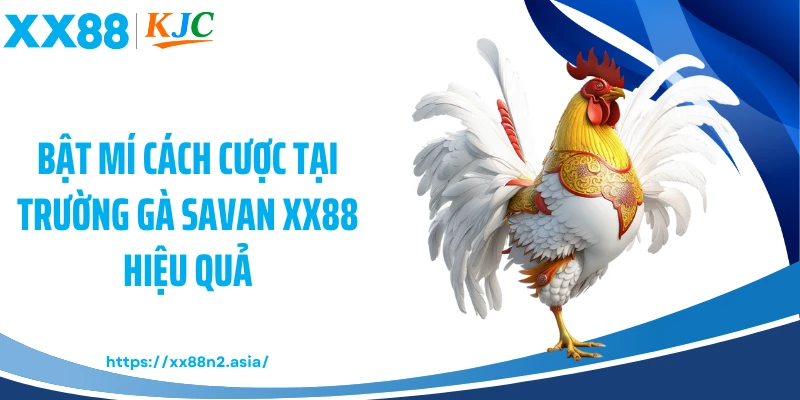 Bật mí cách cược tại trường gà Savan XX88 hiệu quả