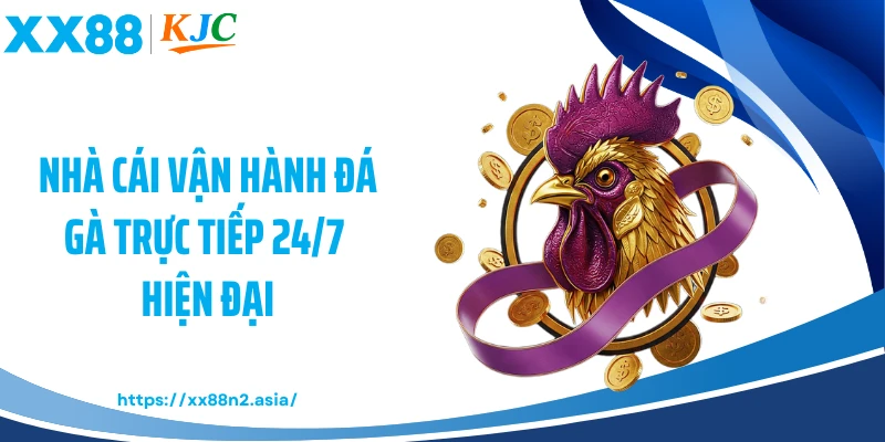 Nhà cái vận hành đá gà trực tiếp 24/7 hiện đại